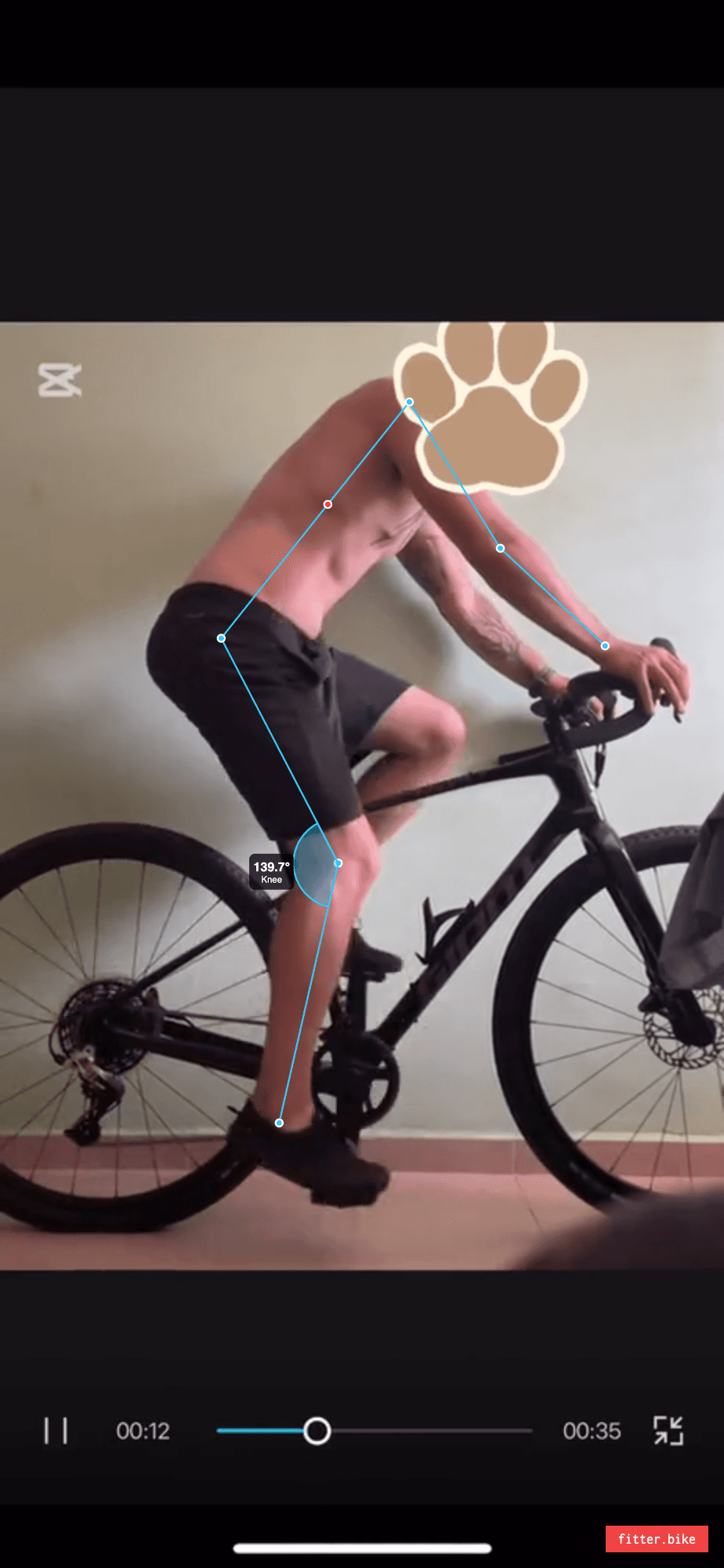 Bike fit analysis snapshot