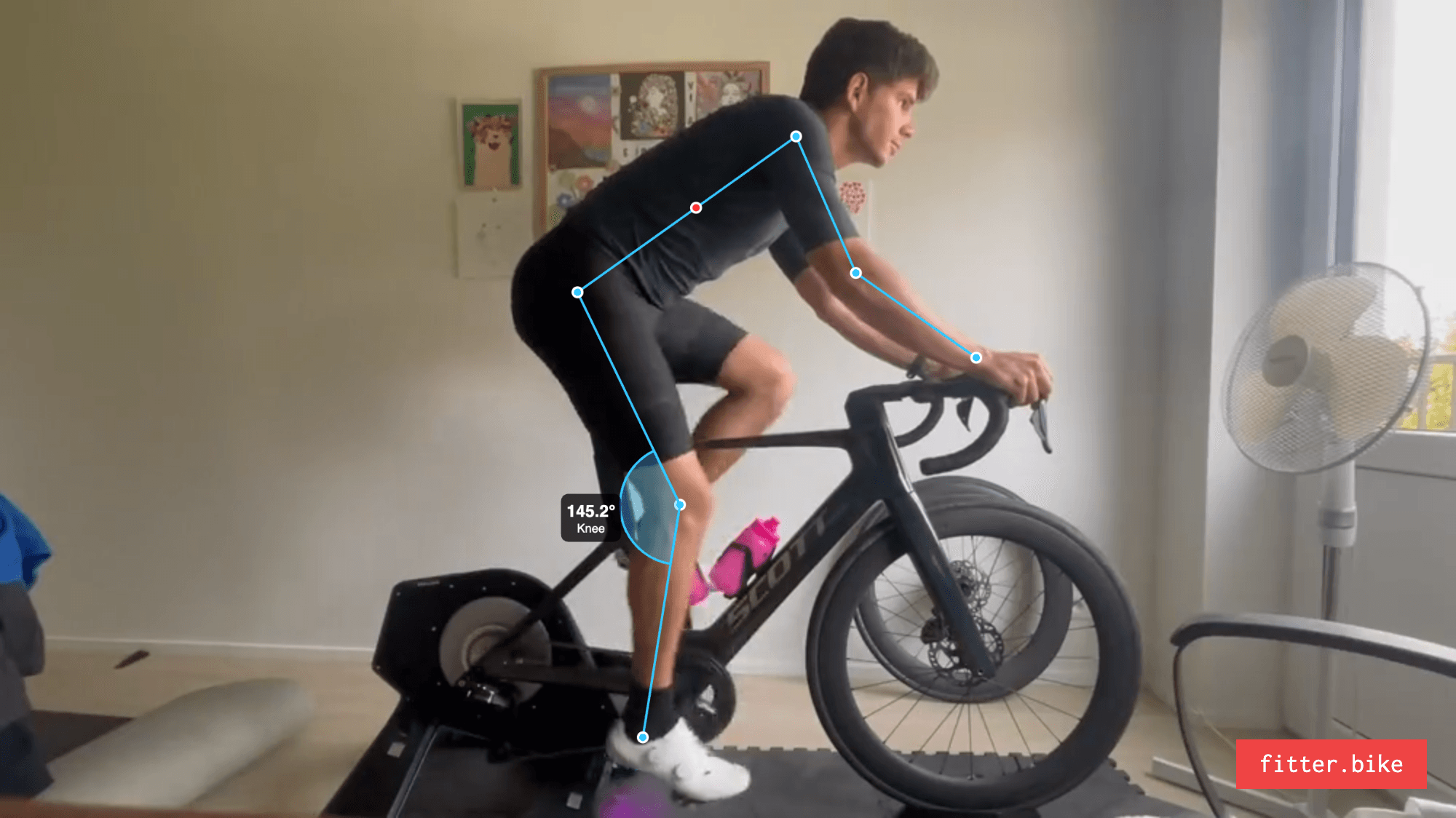 Bike fit analysis snapshot